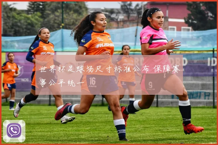 世界杯足球场尺寸标准公布 保障赛事公平统一