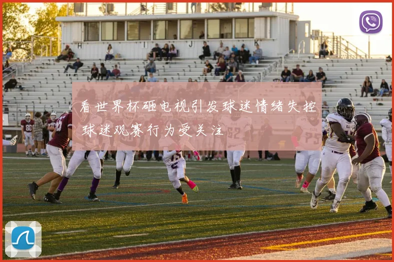 看世界杯砸电视引发球迷情绪失控 球迷观赛行为受关注