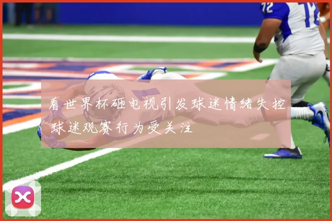 看世界杯砸电视引发球迷情绪失控 球迷观赛行为受关注