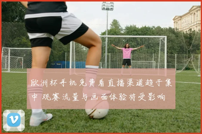 欧洲杯手机免费看直播渠道趋于集中 观赛流量与画面体验将受影响